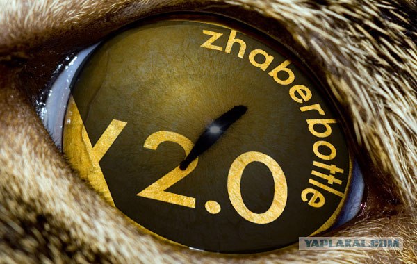 zhaberbottle v2.0