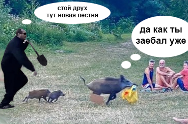 Отдай трусы свинья!