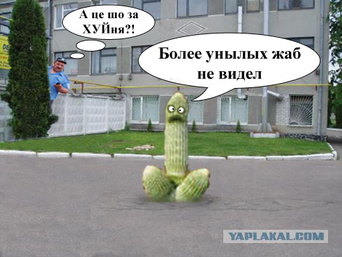 Фотожаба:На связи