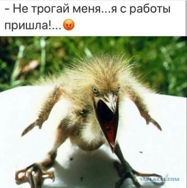 Бредзона 06.12.20