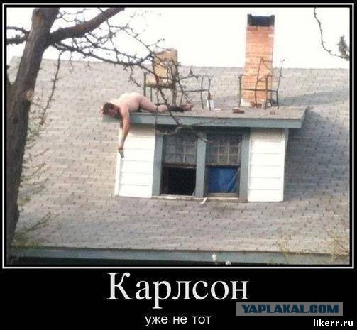 Удобная женщина для харизматичного мужчины