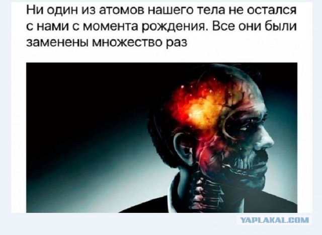 Картинки и мемы для настроения 24.02.2021