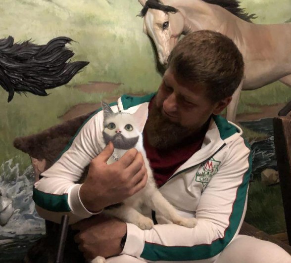 Если не Рамзан, то кот?