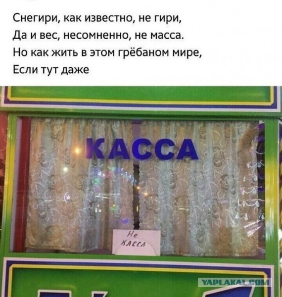 Баянисто-небаянистый юмор 4.03.22