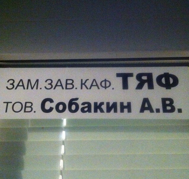 Смешные фамилии