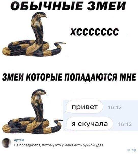 Картинки и мемы, всем хороших выходных