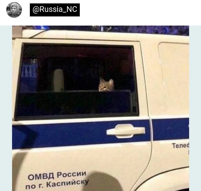 Немного картинок для настроения - 139
