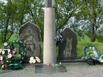 Подборка служебных собак