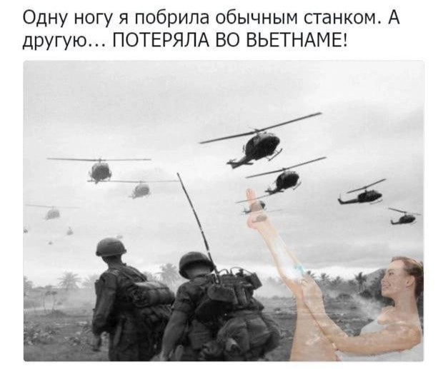 Чернила-6