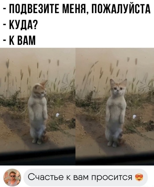 Так себе картинки 16.06.23