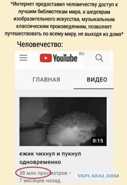 Скриншоты и комментарии из социальных сетей 29.09.23