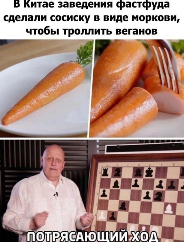 Весёлый полтишок 12.11.23
