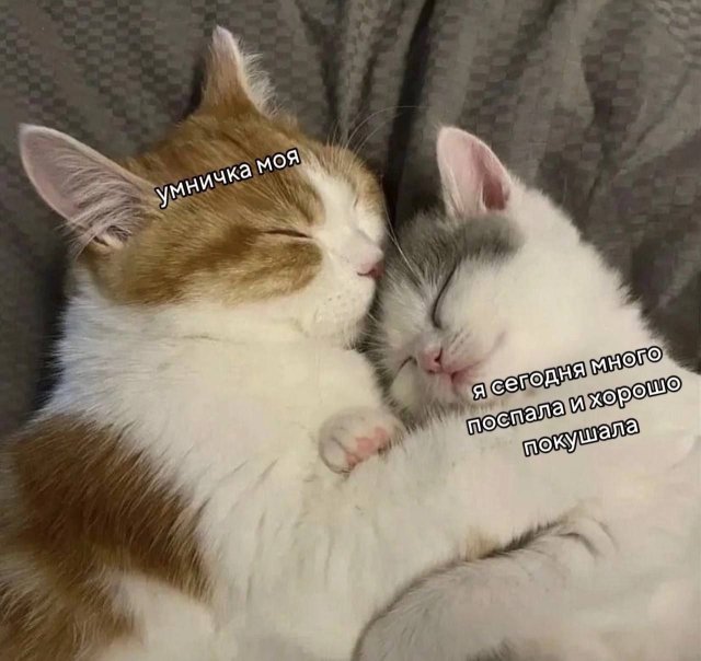 Немного забавных картинок