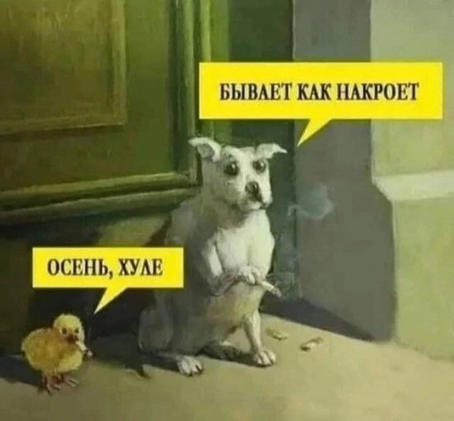 Завалялось тут случайно немного забавных картинок