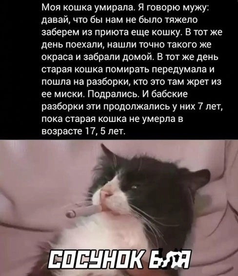 Так себе картинки 27.11.24