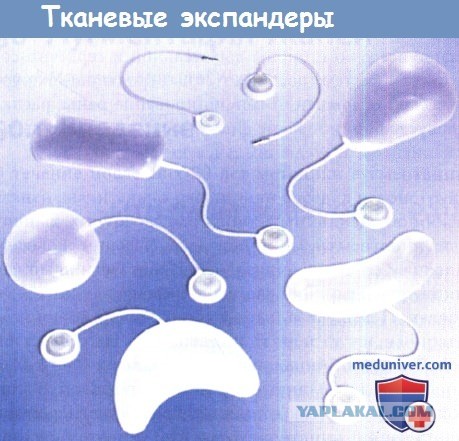 Сильная духом