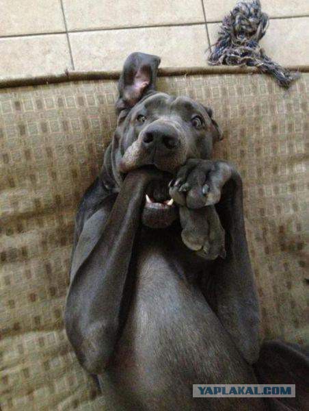 В женском студенческом общежитии скучать некогда