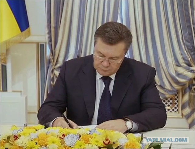 Украина, ау-у...
