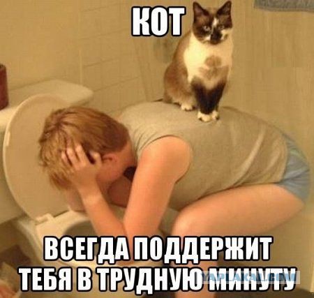 Позитивные картинки