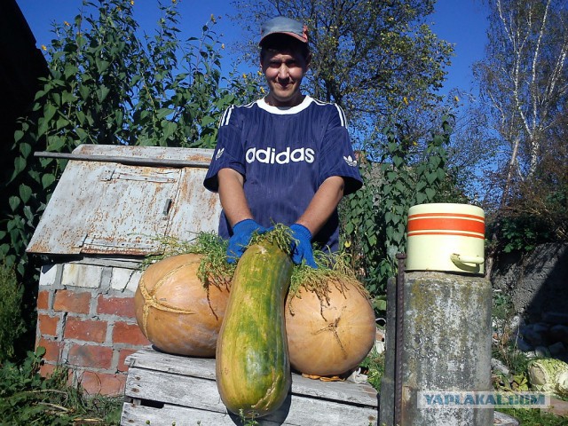 А стоит ли жениться?