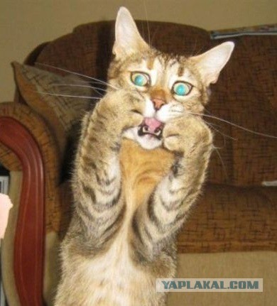 Картинки из соцсетей