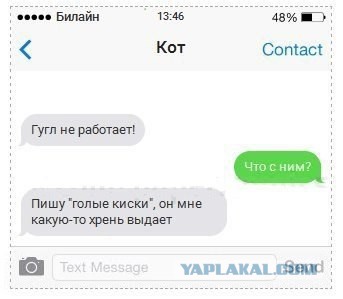 Если бы коты писали смс 2