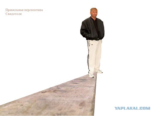 Фотография по всем правилам фотодела