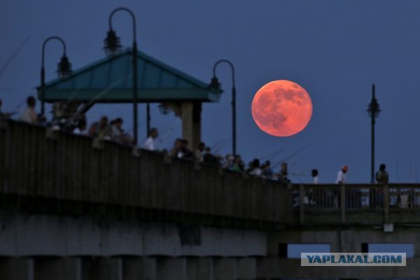 Кровавая Луна взойдет над Землей