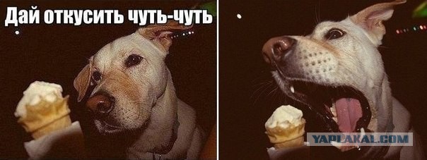Картинки и гифки