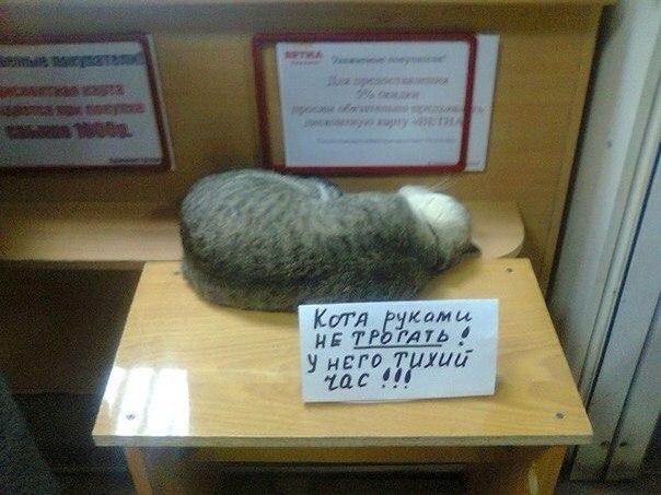 Разные картинки