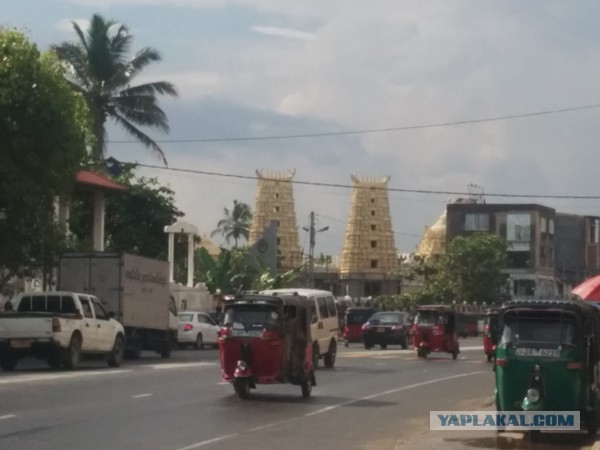 Самостоятельное путешествие в Шри-Ланку