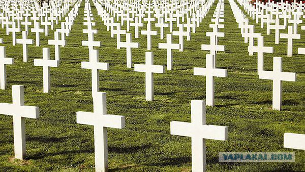 7 самых оригинальных хобби