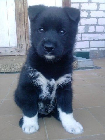 Подборка картинок 17.02.16