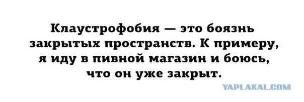 Весёлые картинки