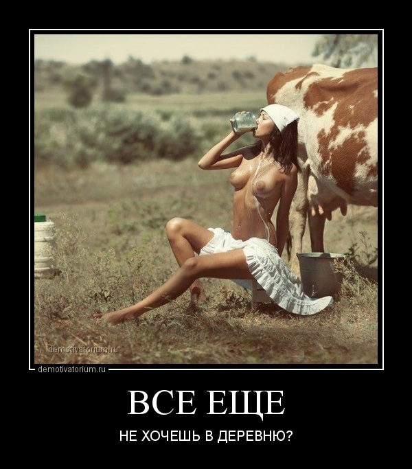 Подборка интересных и веселых картинок