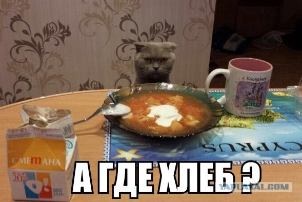 Подборка картинок