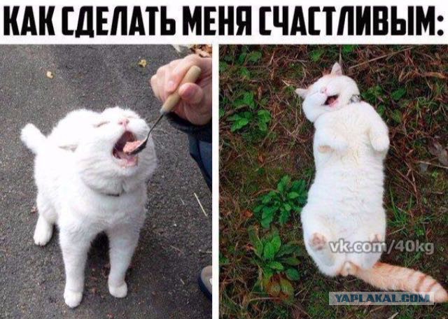 Снегурочка ЯПа 2017