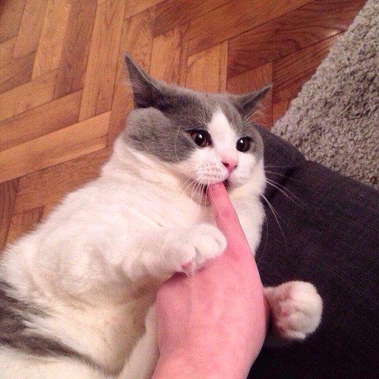 Картинки всяко разные