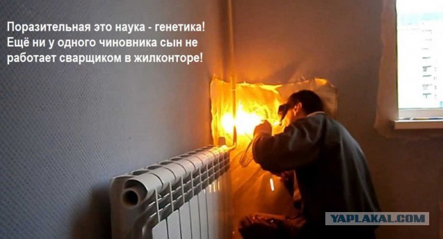 Детки подросли. Пора обеспечивать стабильность в стране