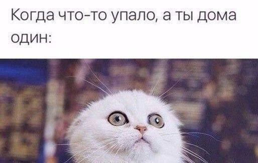 Подборка интересных и веселых картинок
