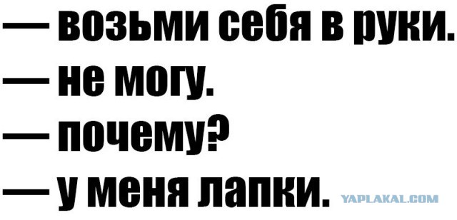 Странный юмор
