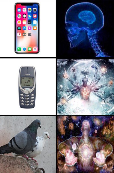 Записки сумасшедшего школьника