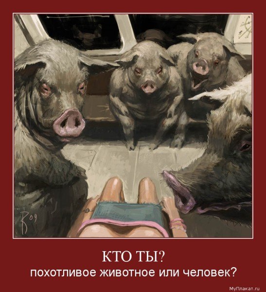 Индустрии взрослого кино: взгляд изнутри
