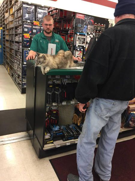 Подборка интересных и веселых картинок