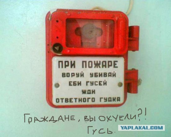 Про воспитание мужчин женщинами. Женщинам пора указать их место!