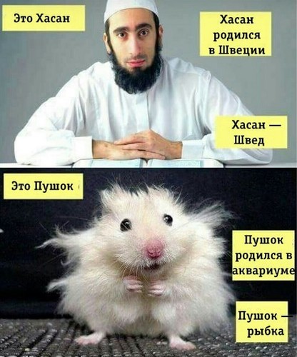 Швеция. Вот так ведут себя мигранты в общественном транспорте - им всегда должны уступать место.