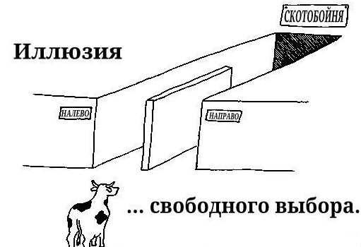 "Сами прутся… Довольные такие"
