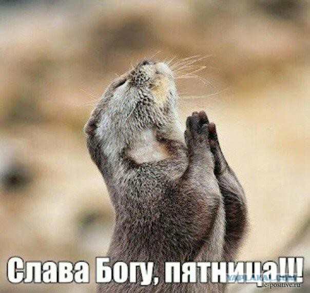 Смешные комментарии из соц.сетей