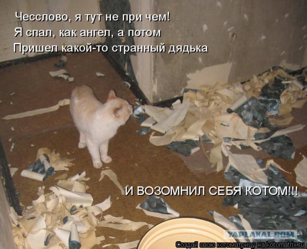 Пятеро депутатов Госдумы пройдут проверку на коррупцию