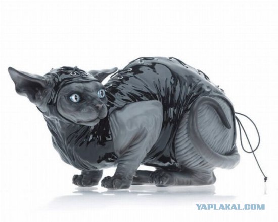 Котовторник 14.09.2010 Голые кошки на Yaplakal